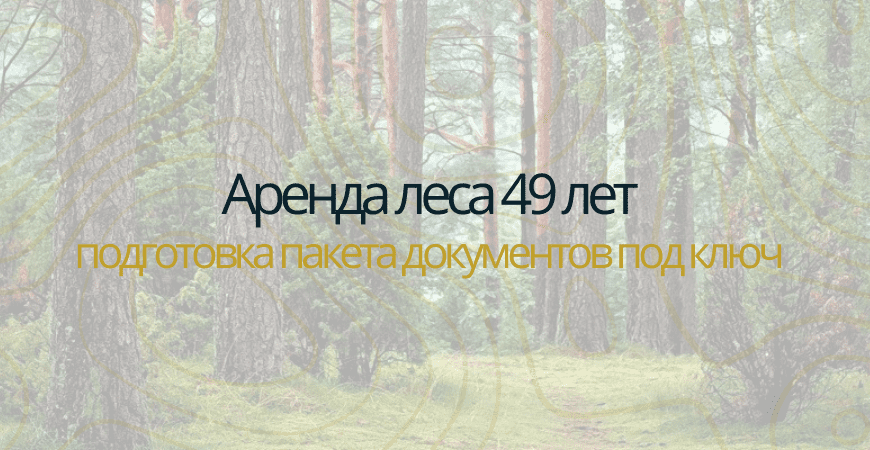 Аренда леса на 49 лет в Белгороде